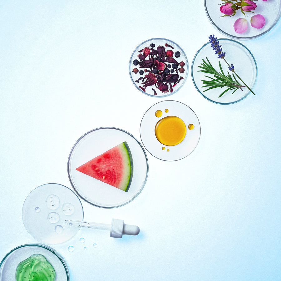 INGREDIENT CODEX